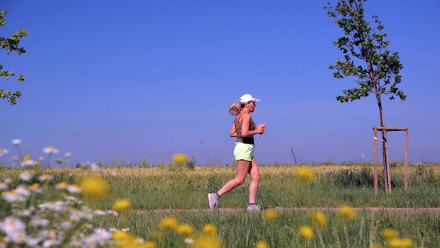 Фото: Антон Вергун
