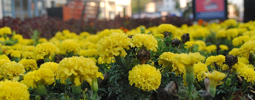 Фото: Сергей Егоров