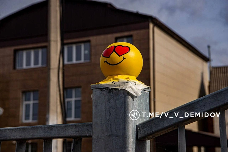 Фото: телеграм-канал Валентина Демидова