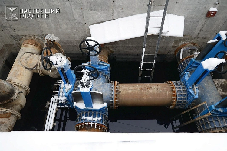 Фото: соцсети Вячеслава Гладкова