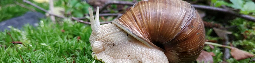 Фото: Виктория Передерий 