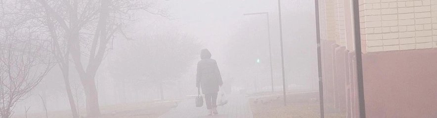 Фото: Сергей Егоров