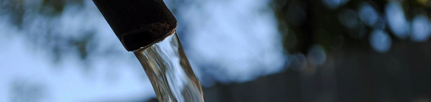 Фото: Сергей Егоров