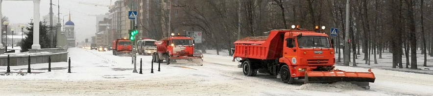 Фото: Сергей Кудрин