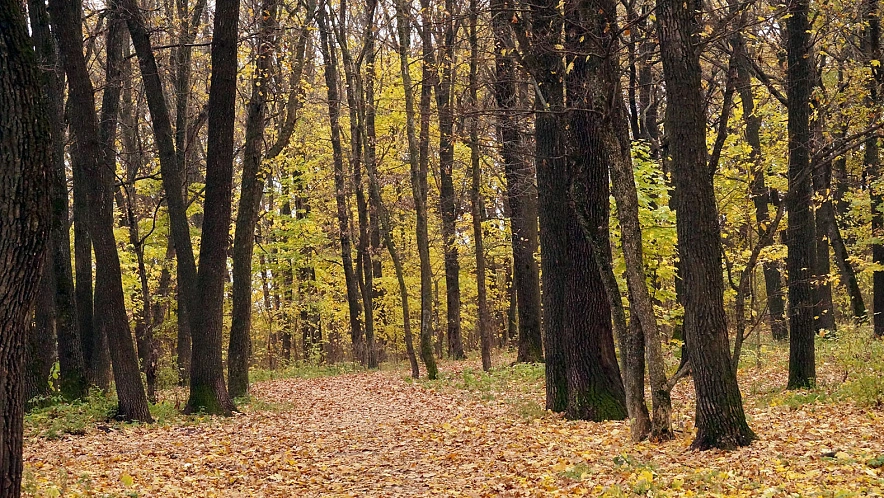 Фото: Сергей Егоров