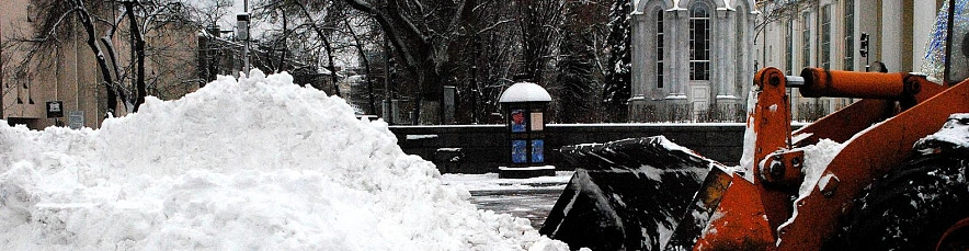 Фото: Сергей Егоров