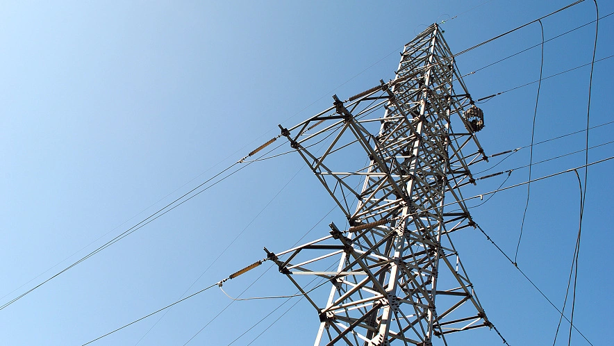 Фото: Сергей Егоров 