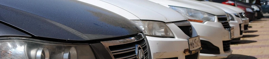 Фото: Сергей Егоров 