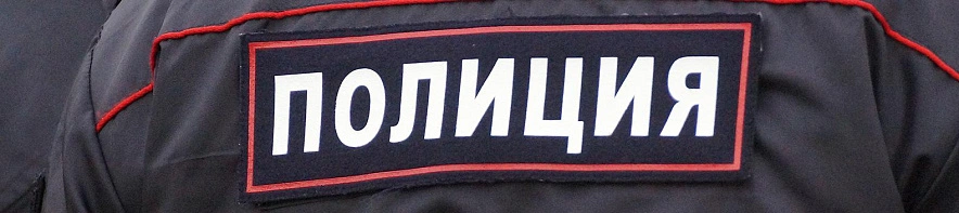 Фото: Сергей Егоров 