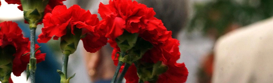 Фото: Сергей Егоров