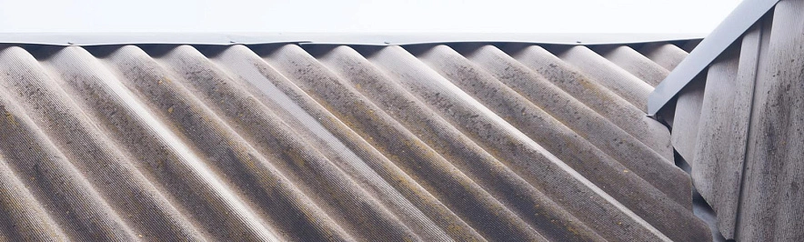 Фото: Сергей Егоров