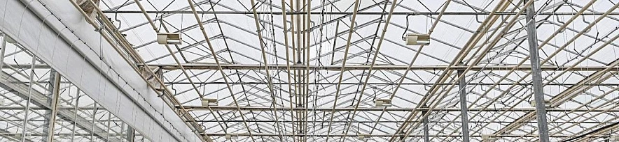 Фото: соцсети Валентина Демидова