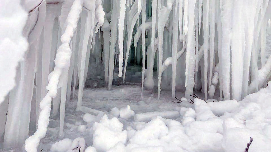 Фото: «Белгород №1»