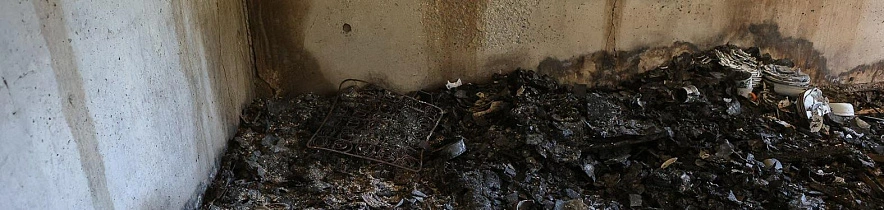 Фото: Антон Вергун