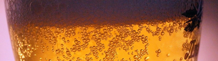 Фото: Сергей Егоров