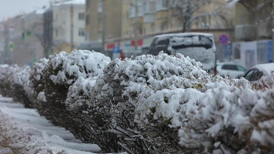 Фото: Антон Вергун