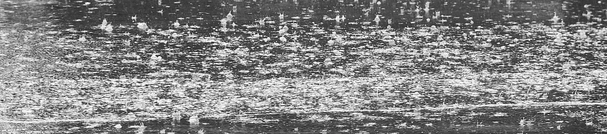 Фото: Сергей Егоров