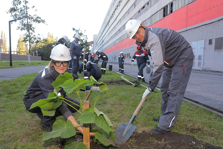 Фото: Валерия Воронова