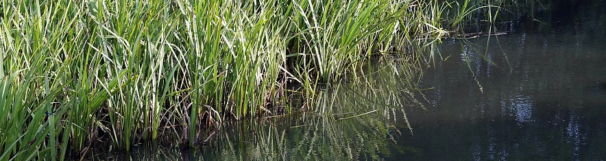 Фото: Сергей Егоров