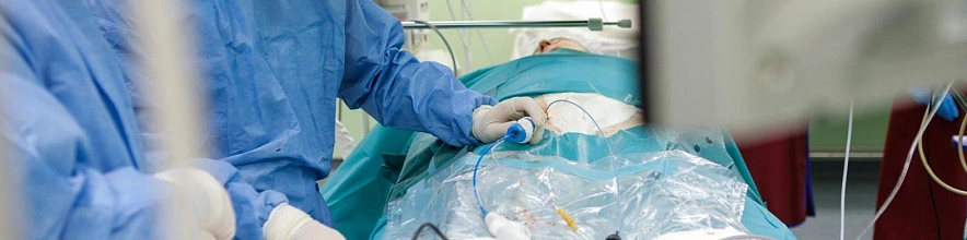 Фото: Антон Вергун