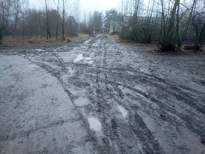 Фото: Эльвира Боровская