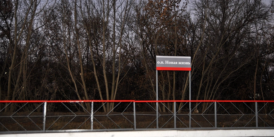 Фото: Максим Алтухов