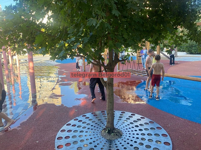 Фото: телеграм-канал «Белгород №1»