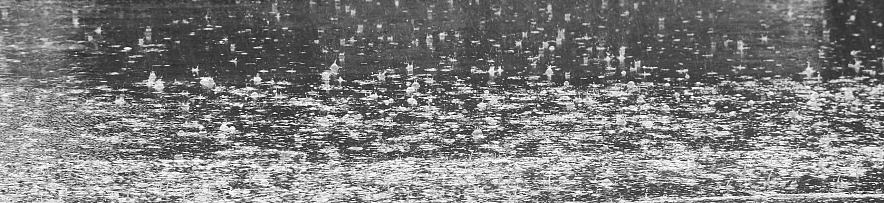 Фото: Сергей Егоров