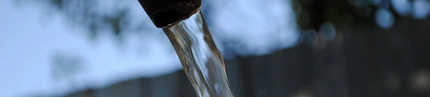 Фото: Сергей Егоров