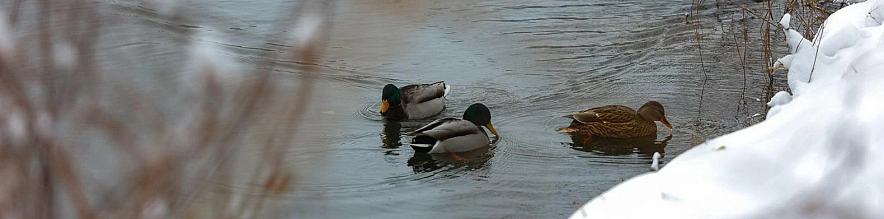Фото: Антон Вергун