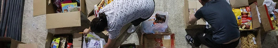 Фото: Антон Вергун 