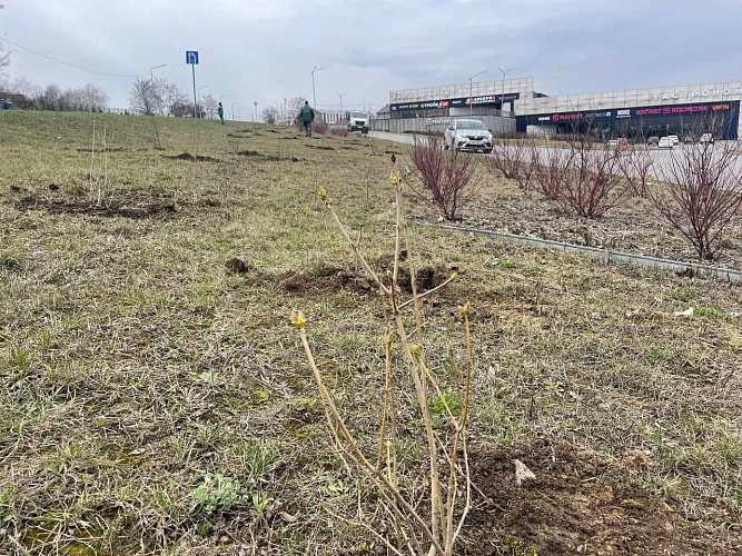 Фото: мэрия Белгорода