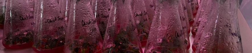 Фото: Вероника Максимова