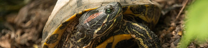 Фото: соцсети Виктории Зеленковой