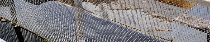 Фото: Сергей Кудрин