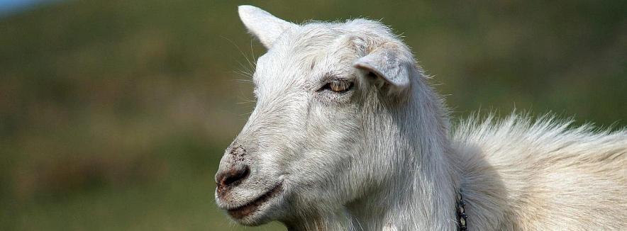 Фото: Сергей Егоров