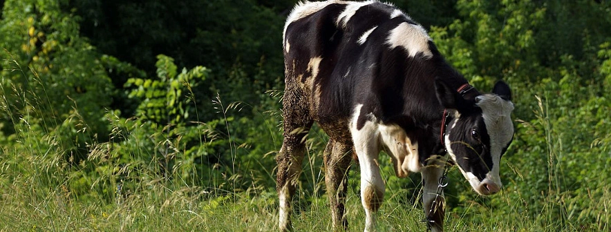 Фото: Сергей Егоров