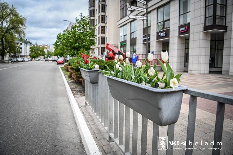 Фото: мэрия Белгорода