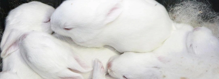 Фото: пресс-служба БелГУ