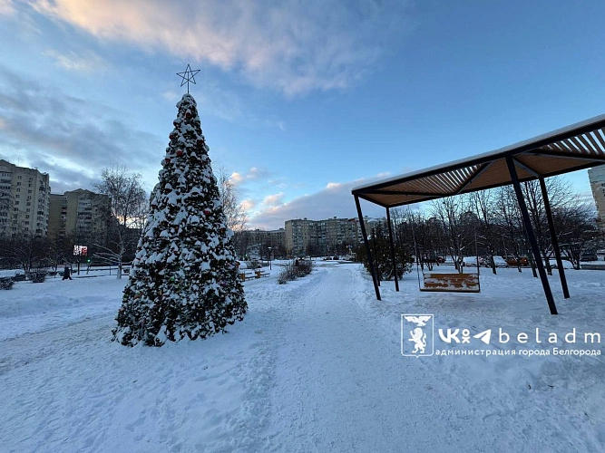 Фото: пресс-служба администрации Белгорода