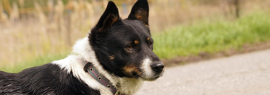 Фото: Сергей Егоров