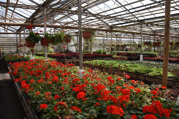 Фото: мэрия Белгорода