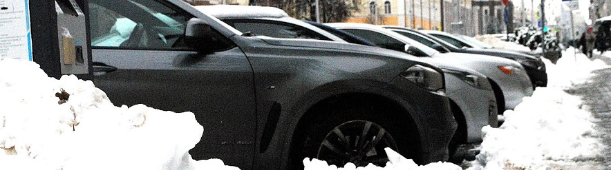 Фото: Сергей Егоров