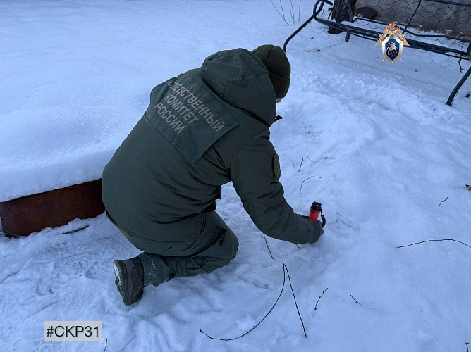 Фото: пресс-служба следственного управления СК России по Белгородской области