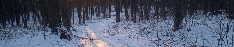 Фото: Сергей Егоров 