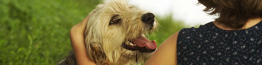 Фото: Сергей Егоров