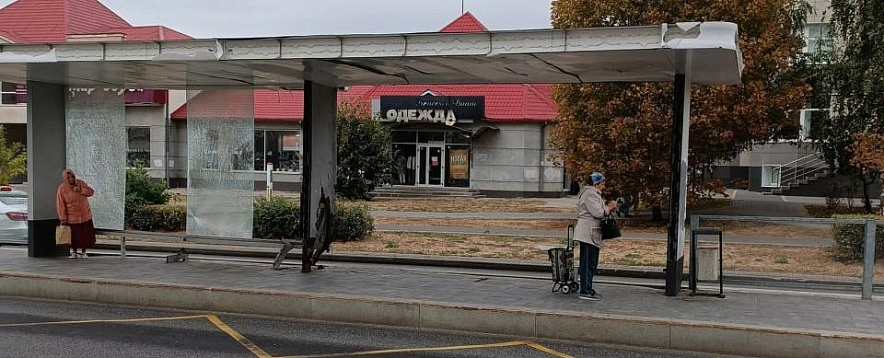 Фото: Елена Николаева