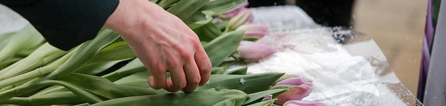 Фото: Евгений Флур