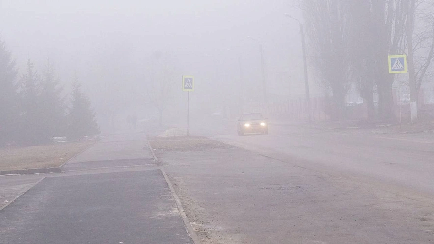 Фото: Сергей Егоров