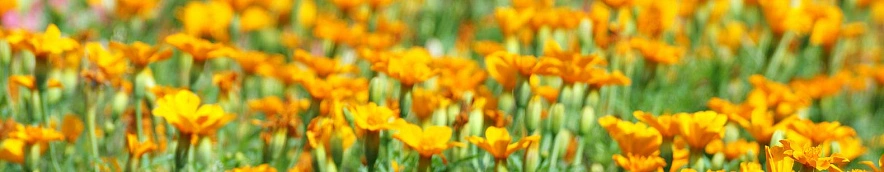 Фото: Сергей Егоров